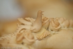 bread sculpture in dove shape of Sardinian pani pintau side view close up